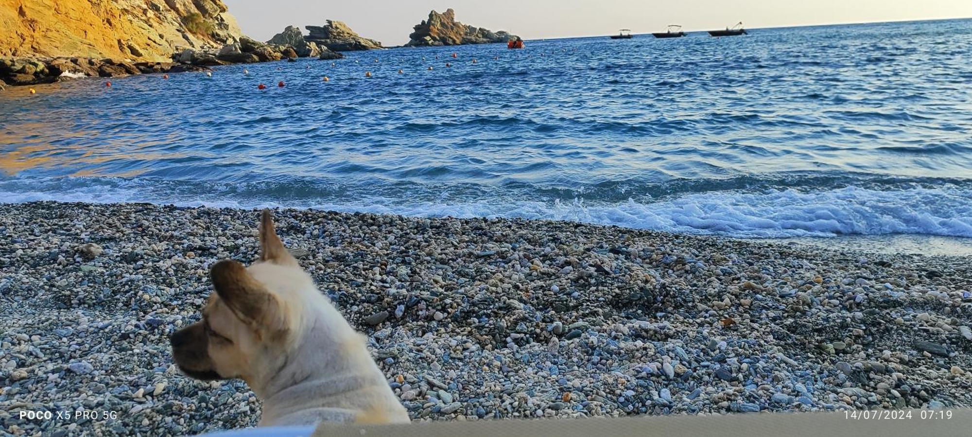 Mades Magic Place Agia Pelagia Eksteriør billede